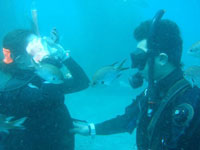 4.　海洋実習　2日間　潜水地は海況の良いポイントへ